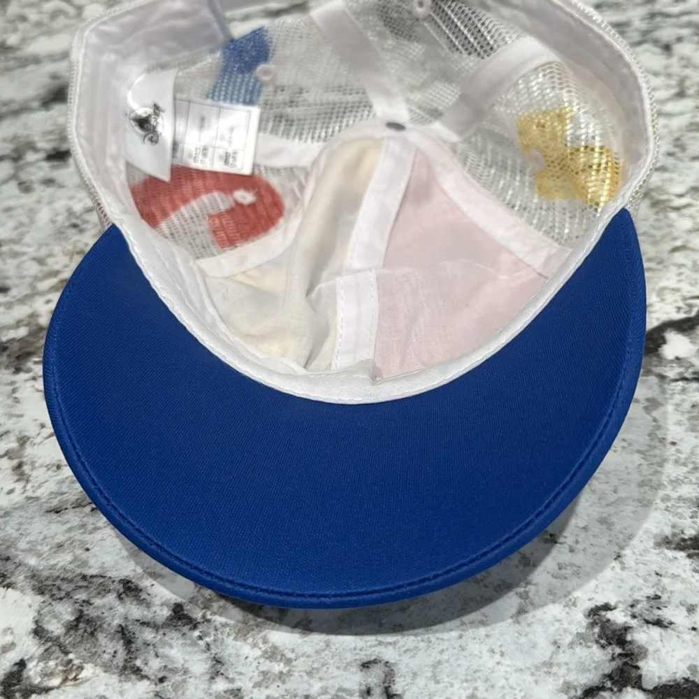 Disneyland 2021 Color Block baseball hat